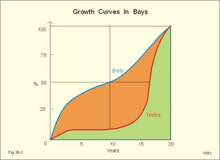 Growth curves in boys