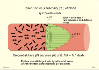 Blood vessel