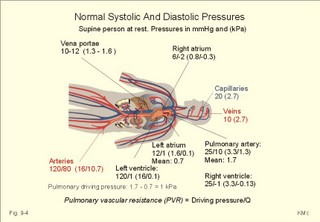 Normal pressures in the circulation